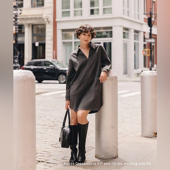 Petite Studio Dresses & Skirts - Petite Studio Wool Blend Dress